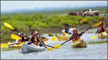 Assateague Explorer Kayak Tours & Rentals