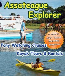 assateague explorer banner