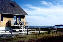 bay watch pic one