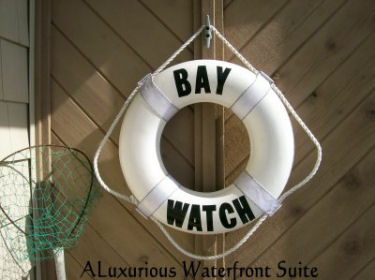 bay watch suite