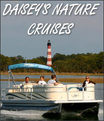daiseys cruises banner