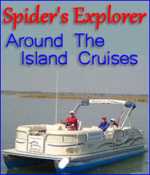 spider's explorer banner