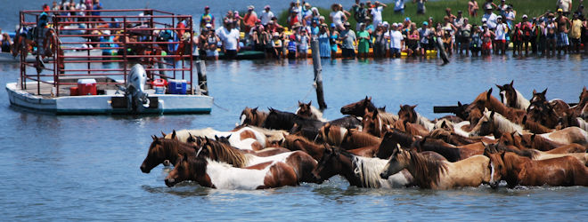 Chincoteague Island Vacation Rental Homes By Owner