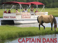 captain dan's cruises banner