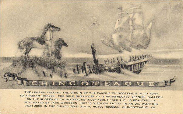 old chincoteague pony shipwreck postcard