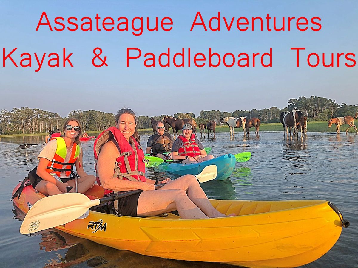 Assateague Adventures Kayak Tours